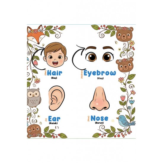 MY First English Words-4 (Vücudumuzu Tanıyalım) 