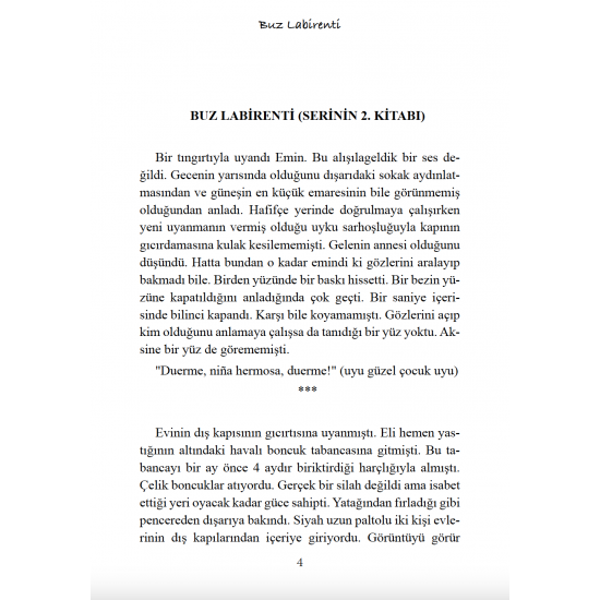 Buz Labirenti