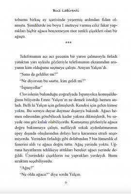 Buz Labirenti