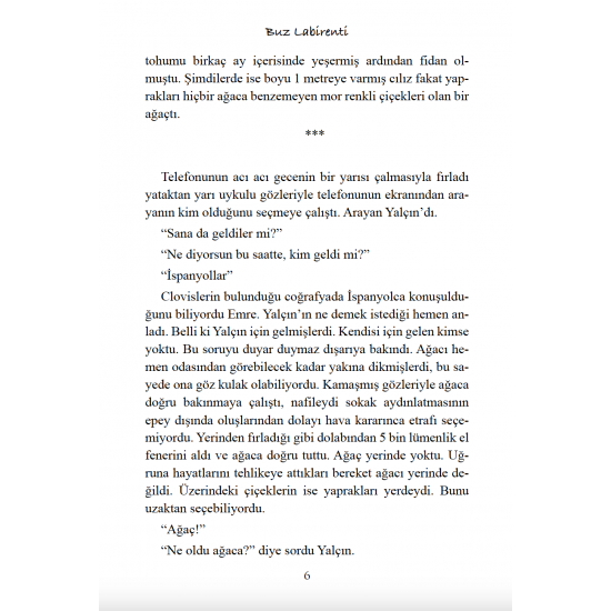 Buz Labirenti