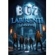 Buz Labirenti